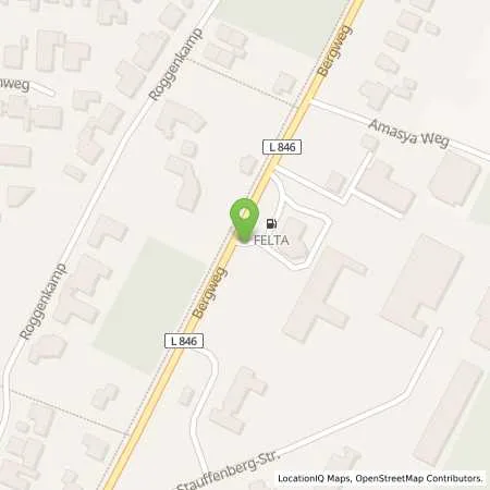 Standortübersicht der Tankstelle Fa. Felta Lohne in 49393 Lohne