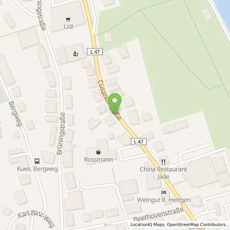 Standortübersicht der Tankstelle Taxi Priwitzer in 54470 Bernkastel-Kues