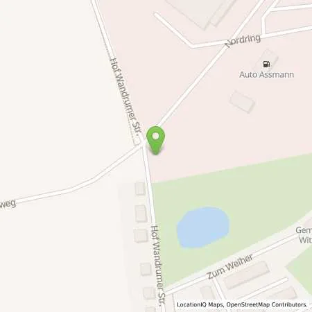 Standortübersicht der Tankstelle Auto Assmann in 19073 Schwerin-Wittenförden