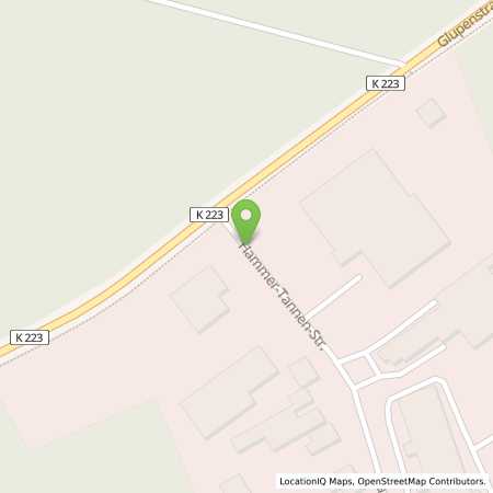 Standortübersicht der Autogas (LPG) Tankstelle: Autocenter Trottenberg in 49740, Haselünne