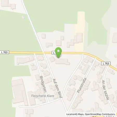 Standortübersicht der Tankstelle Vössing Automobile in 34434 Borgentreich (Bühne)