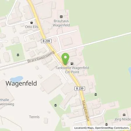 Standortübersicht der Tankstelle CitiPoint Wagenfeld, Jantzon Tankstellen GmbH in 49419 Wagenfeld
