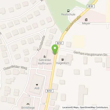 Standortübersicht der Tankstelle FELTA Station Ignatz Hagedorn in 49186 Bad Iburg