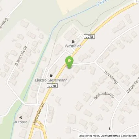 Standortübersicht der Tankstelle Westfalen-Tankstelle Sven Hillemeier in 32602 Vlotho