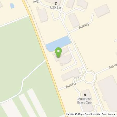 Standortübersicht der Tankstelle Autohaus Brass GmbH & Co. KG in 63920 Großheubach