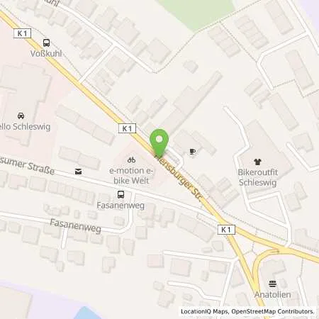 Standortübersicht der Tankstelle ARAL Tankstelle in 24837 Schleswig