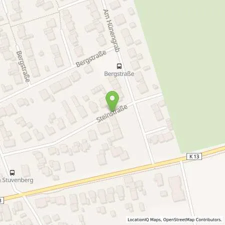 Standortübersicht der Tankstelle Mümken & Schildberger GbR in 46348 Raesfeld (Erle)