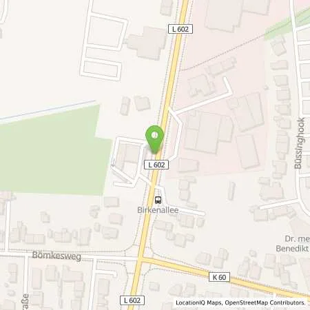 Standortübersicht der Tankstelle WEVAG in 46395 Bocholt (Biemenhorst)