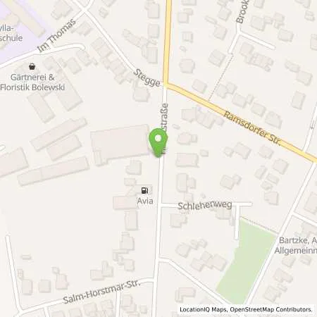 Standortübersicht der Tankstelle Autohaus Abbing in 46325 Borken (Weseke)