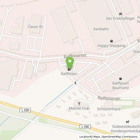 Standortübersicht der Tankstelle Raiffeisen in 74906 Bad Rappenau