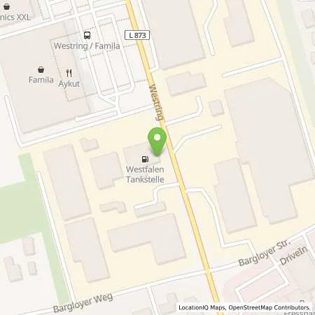 Standortübersicht der Tankstelle Aral Tankstelle in 27793 Wildeshausen