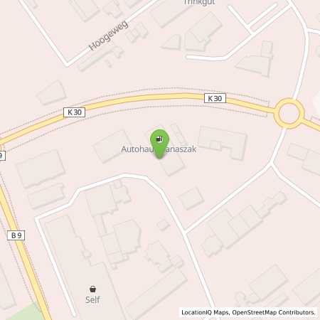 Standortübersicht der Autogas (LPG) Tankstelle: Autohaus Banaszak (Tankautomat) in 47623, Kevelaer
