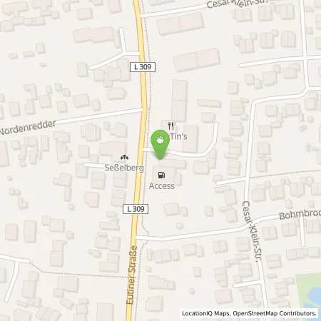 Standortübersicht der Tankstelle Tankcenter Pansdorf Reinhard Raap (Elan) in 23689 Pansdorf