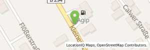 Position der Tankstelle BAD WILDBAD-CALMBACH - KLEINENZT