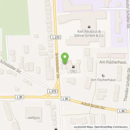 Standortübersicht der Tankstelle OIL! Tankstelle Husum in 25813 Husum