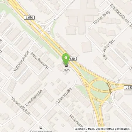 Standortübersicht der Tankstelle Schwetzingen Mannheimer Strasse 131 in 68723 Schwetzingen