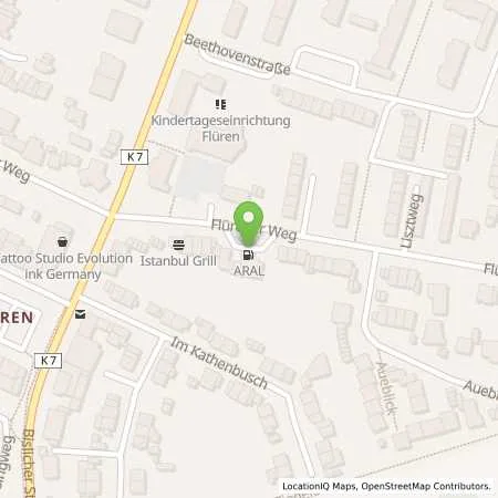 Standortübersicht der Tankstelle Aral Tankstelle in 46487 Wesel