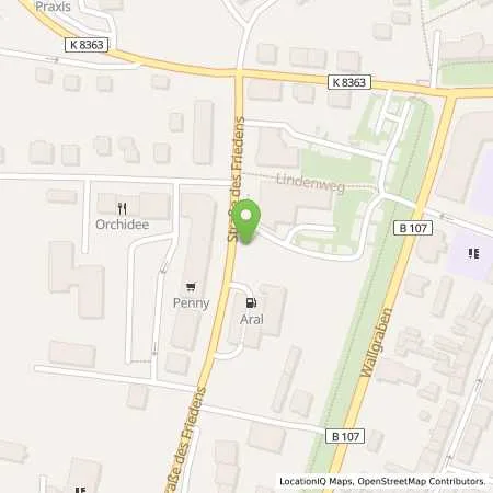 Standortübersicht der Tankstelle Aral Tankstelle in 04668 Grimma