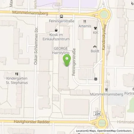 Standortübersicht der Tankstelle OIL! Tankstelle Hamburg in 22115 Hamburg