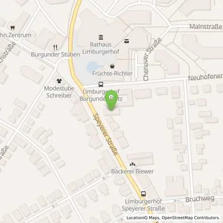 Standortübersicht der Tankstelle Aral Tankstelle in 67117 Limburgerhof