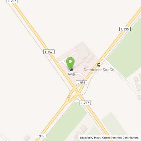 Standortübersicht der Benzin-Super-Diesel Tankstelle: AVIA Tankstelle in 33161, Hövelhof