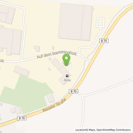 Standortübersicht der Benzin-Super-Diesel Tankstelle: AVIA Tankstelle in 46499, Hamminkeln - Brünen