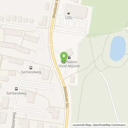 Standortübersicht der Tankstelle Bft Wolfsburg Breslauer Straße 221 in 38440 Wolfsburg