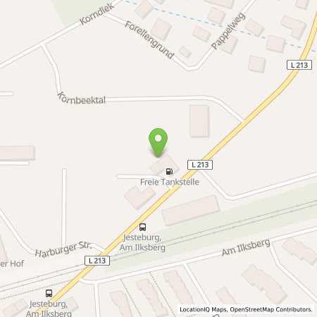 Standortübersicht der Benzin-Super-Diesel Tankstelle: Raisa eG in 21266, Jesteburg