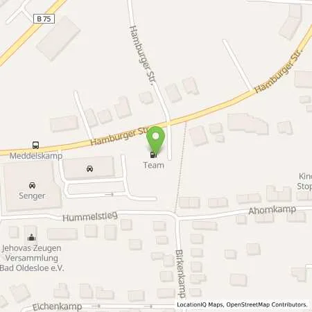 Standortübersicht der Tankstelle team Tankstelle Bad Oldesloe in 23843 Bad Oldesloe