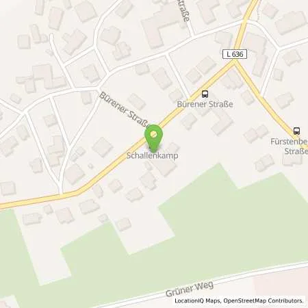 Standortübersicht der Tankstelle Schallenkamp GmbH in 33181 Bad Wünnenberg (Haaren)