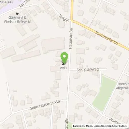 Standortübersicht der Tankstelle AVIA Tankstelle in 46325 Borken