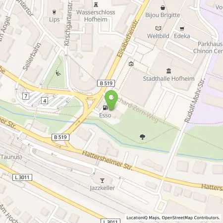Standortübersicht der Tankstelle Esso Tankstelle in 65719 HOFHEIM