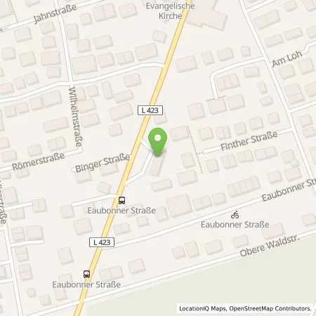 Standortübersicht der Tankstelle Esso Tankstelle in 55257 BUDENHEIM