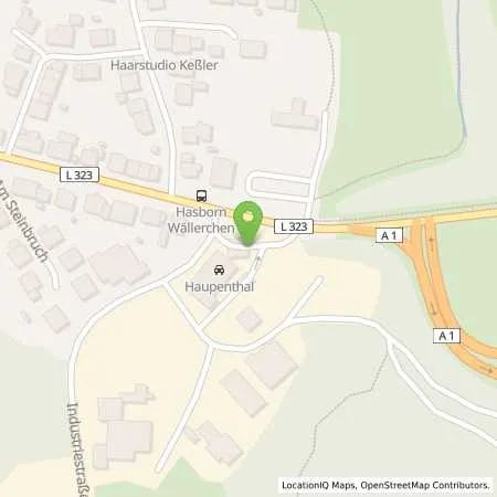 Standortübersicht der Tankstelle TOTAL THOLEY-HASBORN in 66636 THOLEY (HASBORN)