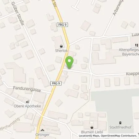 Standortübersicht der Tankstelle GRAFENAU - ROSENAUER STRASSE 6 in 94481 Grafenau