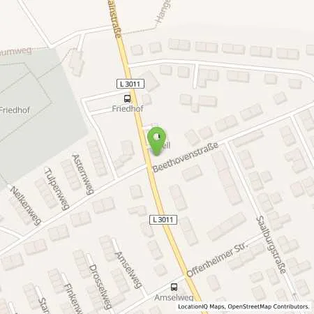 Standortübersicht der Tankstelle Shell Hattersheim Mainstr. 40 in 65795 Hattersheim