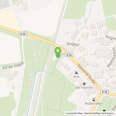 Standortübersicht der Tankstelle Aral Tankstelle in 46286 Dorsten