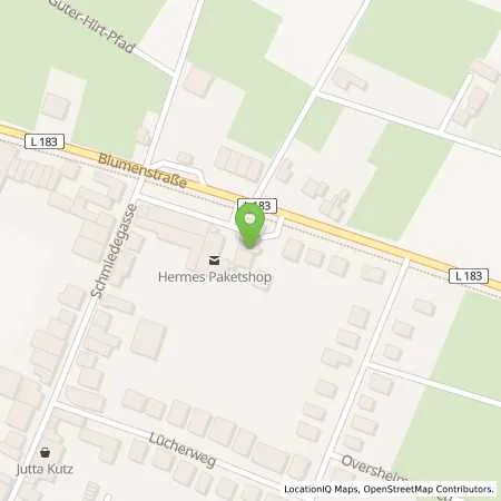 Standortübersicht der Tankstelle Hoffmann GmbH Service Punkt in 53332 Bornheim (Waldorf)