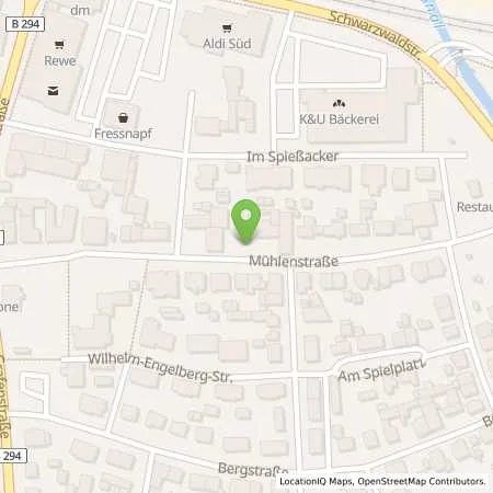 Standortübersicht der Tankstelle Shell Haslach Im Kinzigtal Muehlenstr. 21 in 77716 Haslach Im Kinzigtal