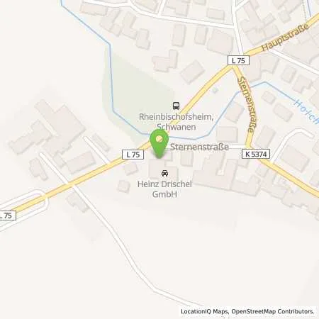 Standortübersicht der Tankstelle Esso Tankstelle in 77866 RHEINAU