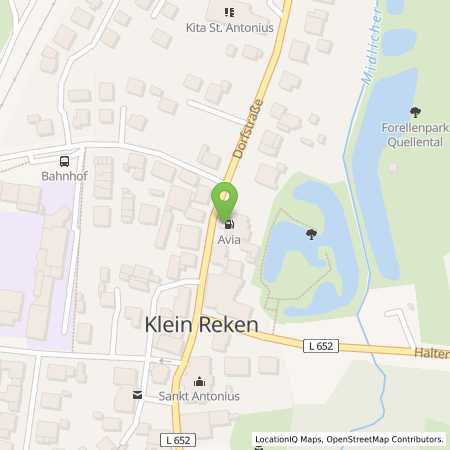 Standortübersicht der Benzin-Super-Diesel Tankstelle: AVIA Tankstelle in 48734, Reken
