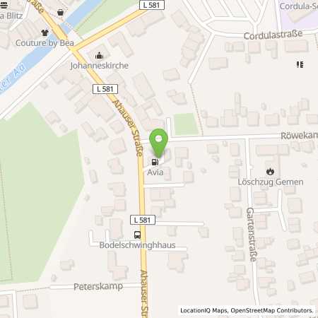 Standortübersicht der Benzin-Super-Diesel Tankstelle: AVIA Tankstelle in 46325, Borken