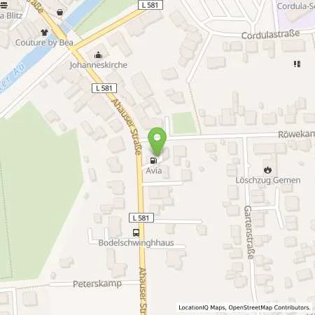 Standortübersicht der Tankstelle AVIA Tankstelle in 46325 Borken