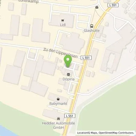 Standortübersicht der Tankstelle Shell Haltern Am See Recklinghaeuser Str. 100 in 45721 Haltern Am See