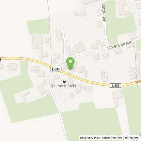 Standortübersicht der Tankstelle Halfmann Mineralöl GmbH & Co. KG in 33154 Salzkotten (Verne)