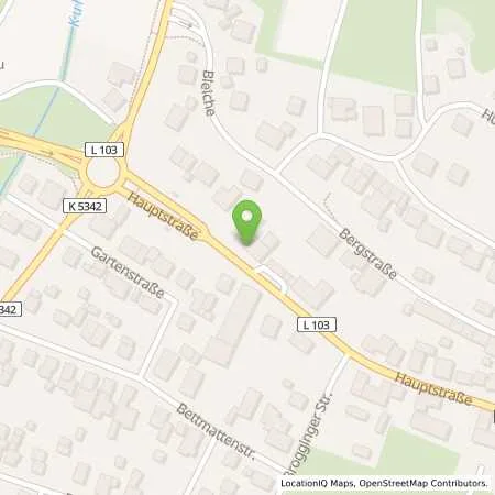 Standortübersicht der Tankstelle Aral Tankstelle in 77955 Ettenheim (Münchweier)