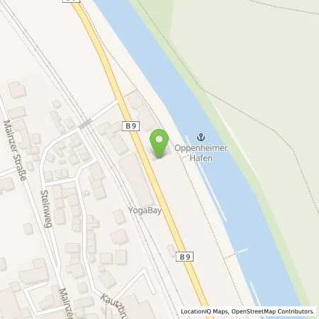 Standortübersicht der Tankstelle Access Oppenheim in 55276 Oppenheim