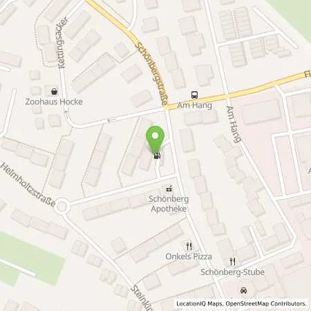 Standortübersicht der Tankstelle Esso Tankstelle in 65199 WIESBADEN