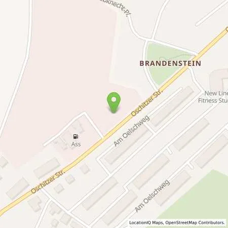 Standortübersicht der Tankstelle Auto-Service Schleiz GmbH in 07907 Schleiz