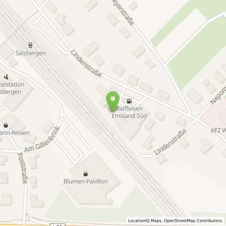Standortübersicht der Tankstelle Raiffeisen-Warengenossenschaft Emsland-Süd eG in 48499 Salzbergen